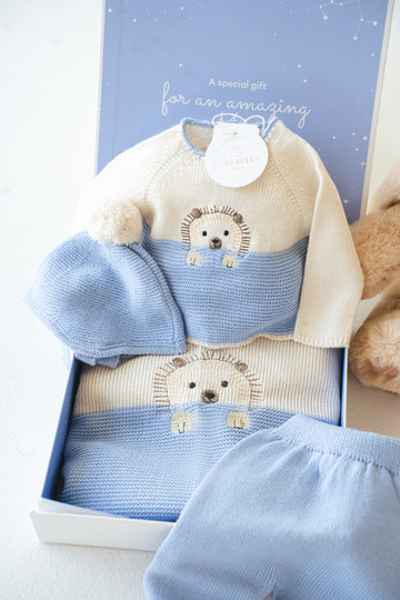 Light Blue Woodland Hedgehog knitted Set - 9813