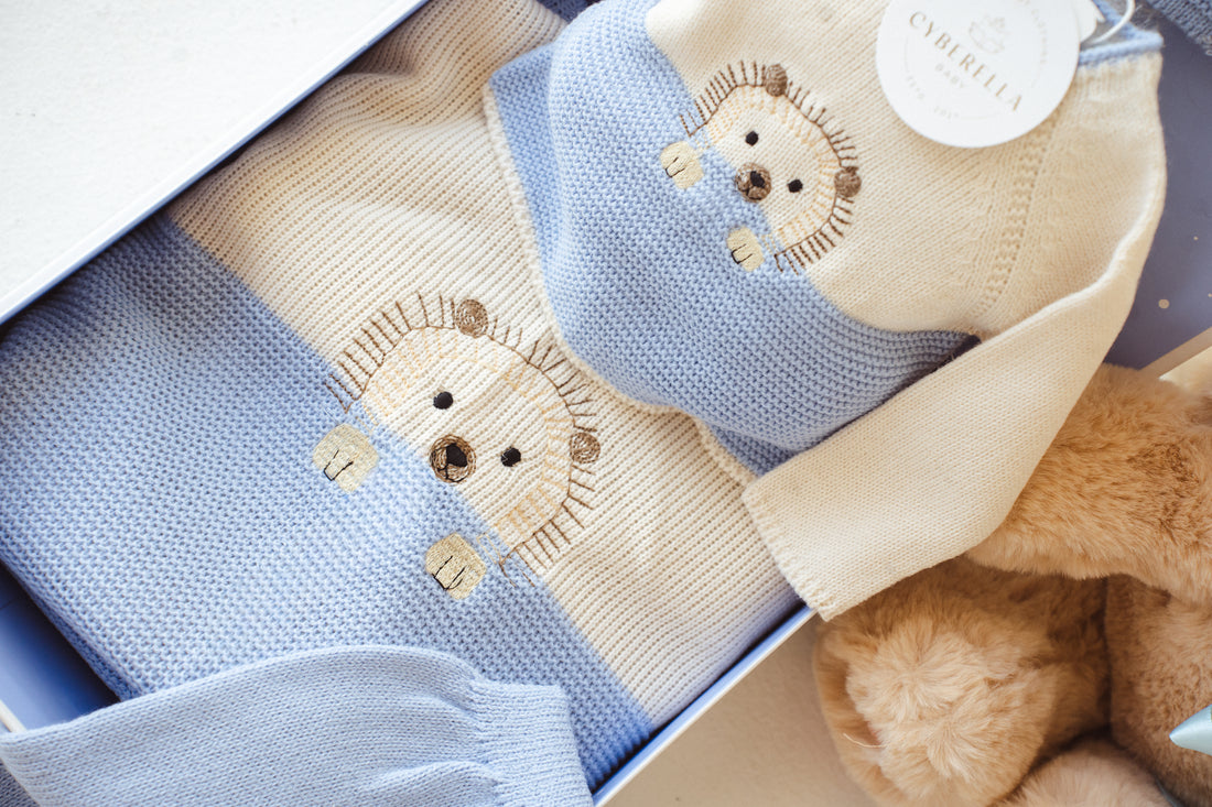 Light Blue Woodland Hedgehog knitted Set - 9813